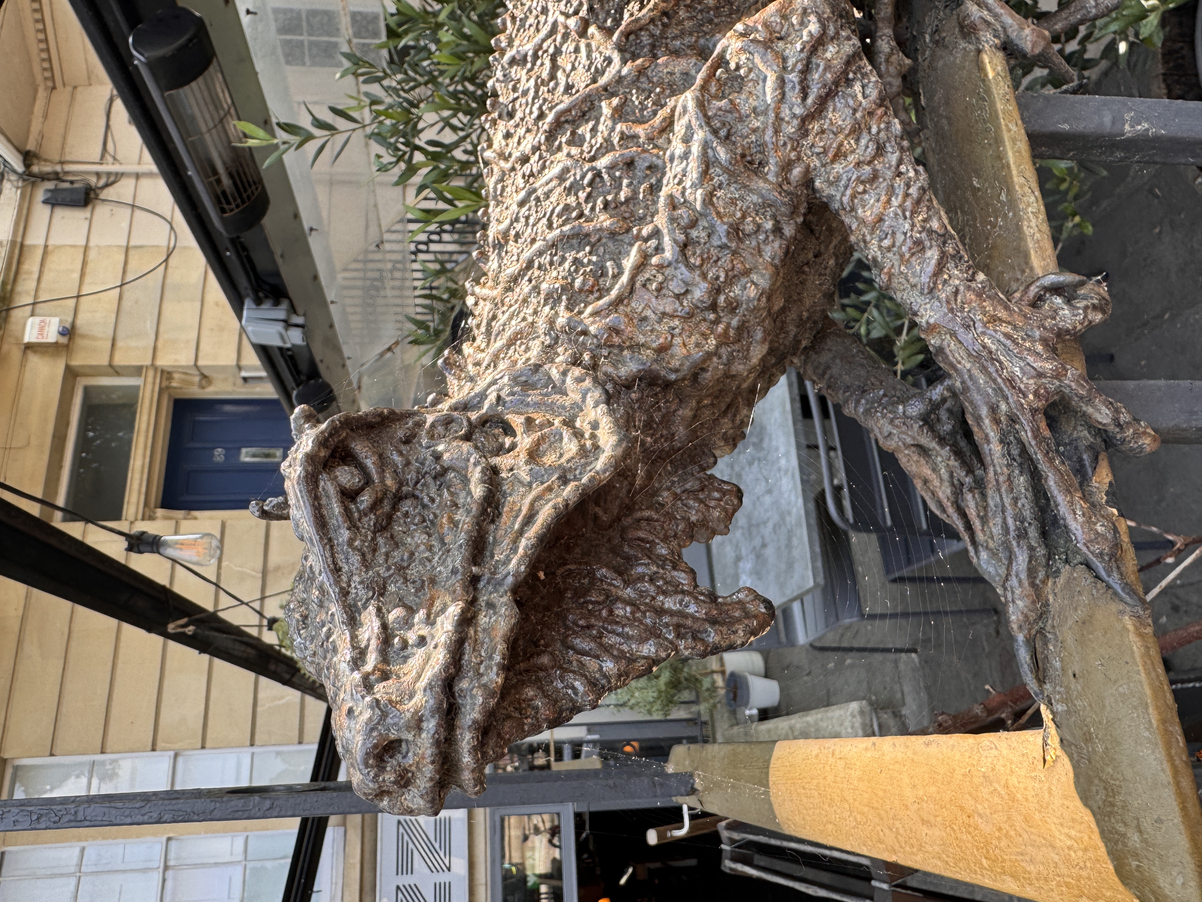 Iguana