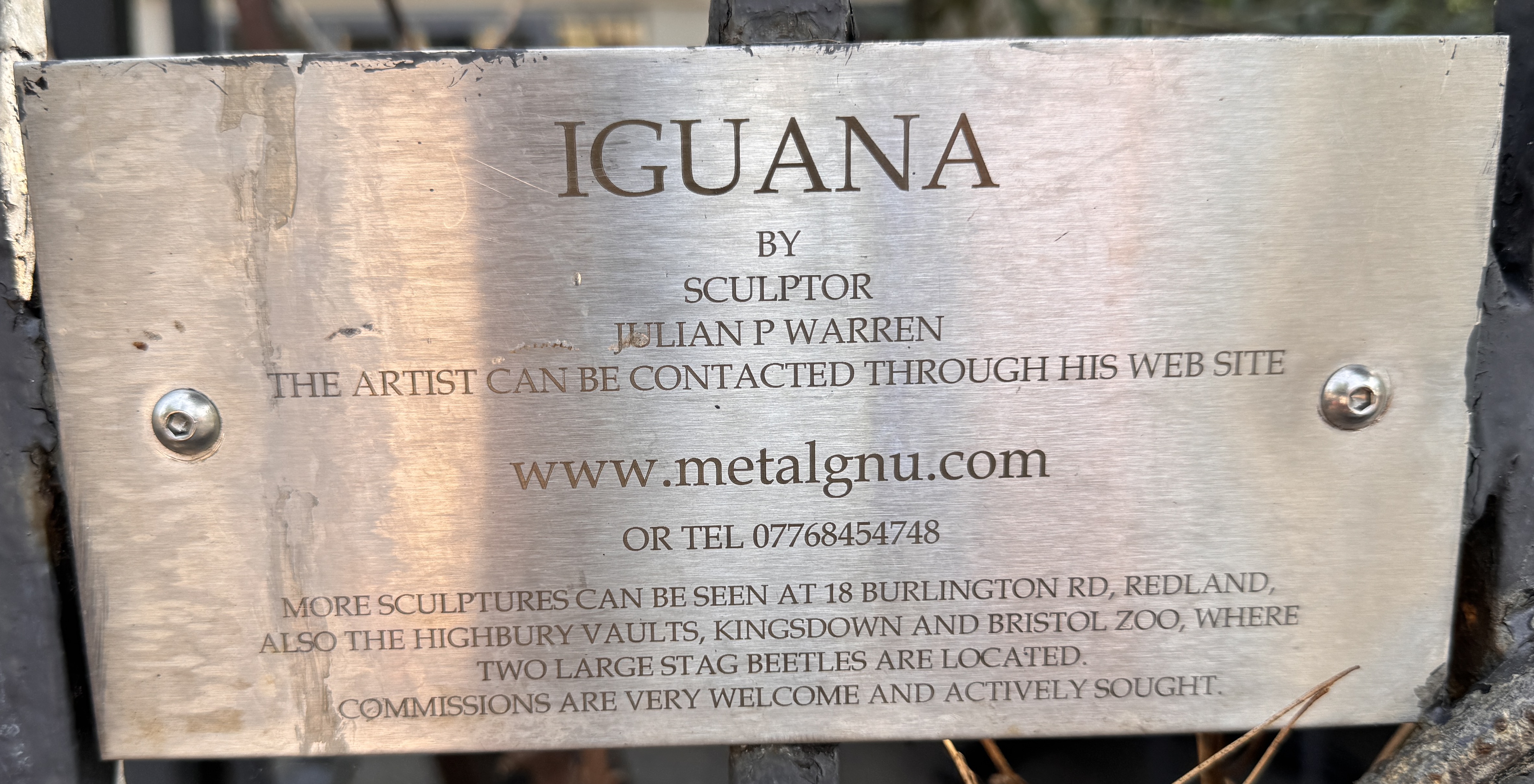 Iguana